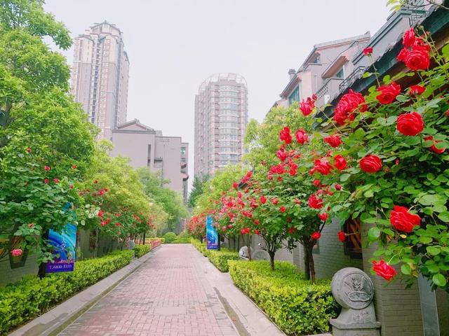 亚星平台